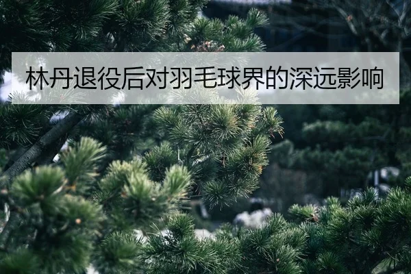 lin-dan-tui-yi-hou-dui-yu-mao-qiu-jie-de-shen-yuan-ying-xiang-2-193.jpg
