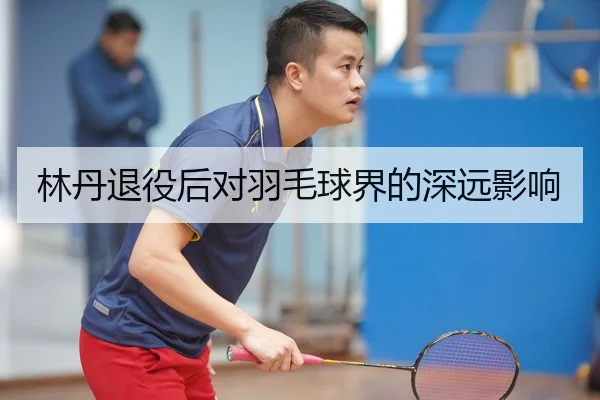 林丹退役后对羽毛球界的深远影响