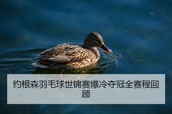 约根森羽毛球世锦赛爆冷夺冠全赛程回顾