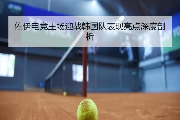 佐伊电竞主场迎战韩国队表现亮点深度剖析